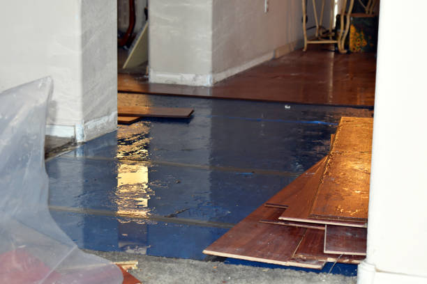 Professional Basement Flood Cleanup technician working in Erie, PA